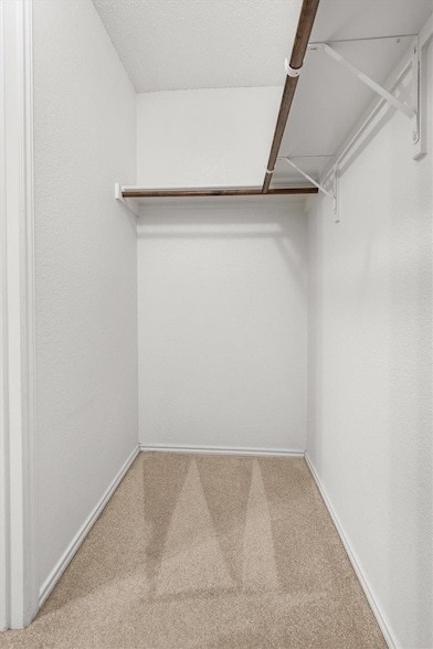 Building Photo - 3516 Clydesdale Dr