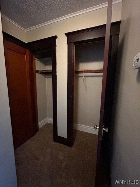 Building Photo - 384 Skillen St