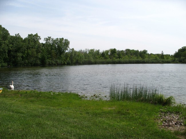 Building Photo - Hawk Lake Apartments & Townhomes