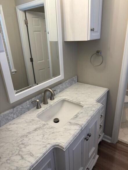 Primary Vanity separate from toilet and tub area - 6518 Montero Dr