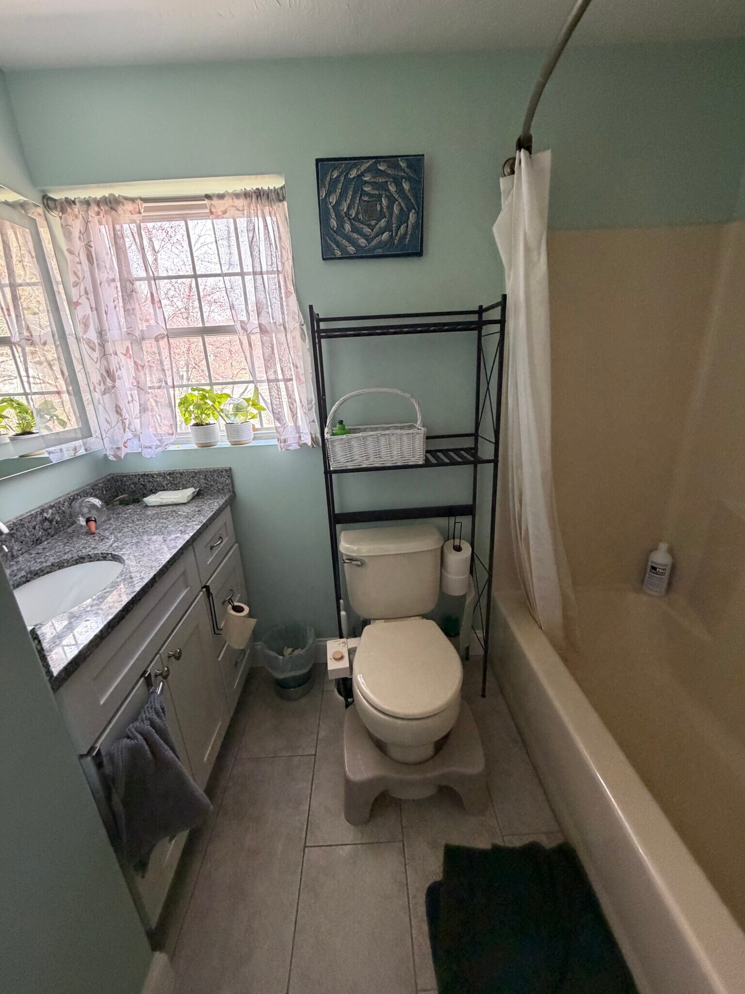 Upstairs hall bath - 207 Pasture Dr