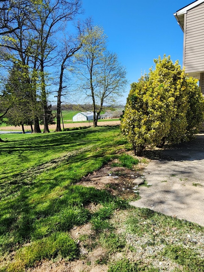 Building Photo - 53 Liberty Ln