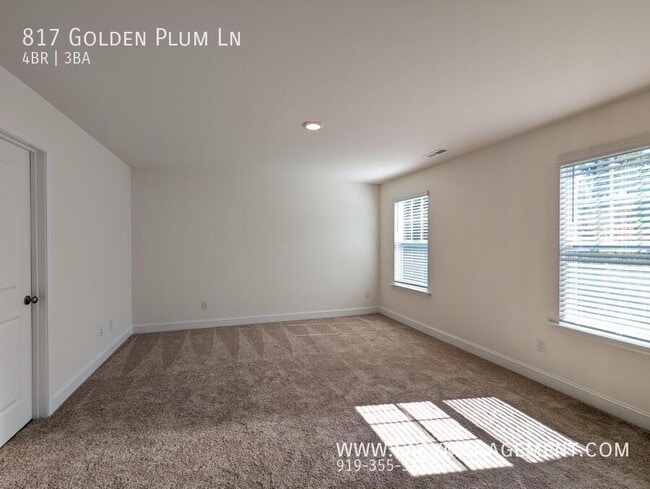 Building Photo - 817 Golden Plum Ln