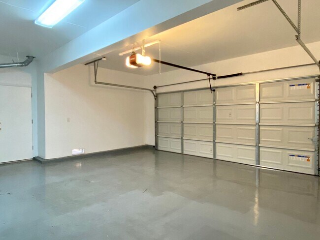 Building Photo - Fresh Interior Paint, Carpeting - Dogs und...