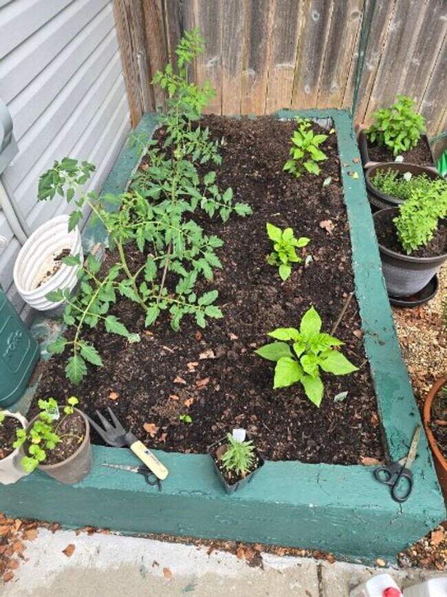 Building Photo - 1804 Riverbirch Ln