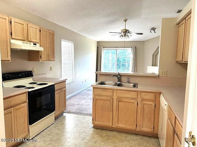 Building Photo - 12895 Bentwater Dr