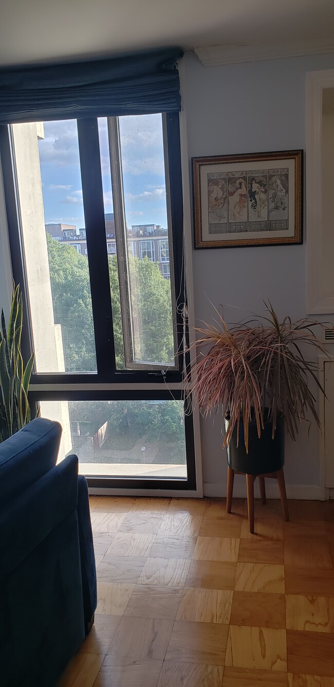 Floor-to-ceiling windows, upper one opens and has screen - 490 M St SW