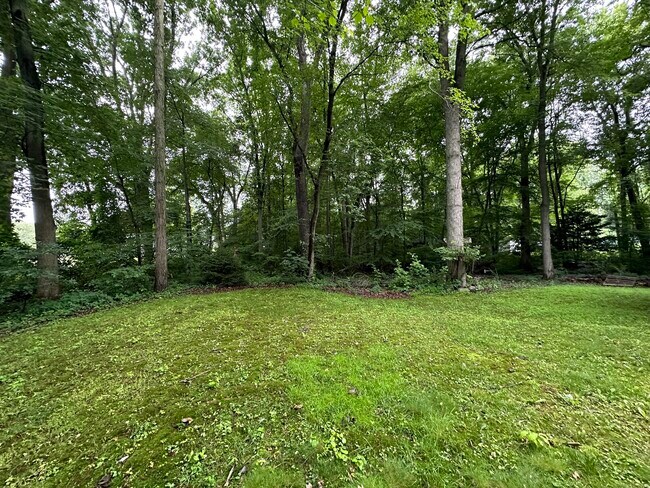 Building Photo - 451 Pine Tree Dr