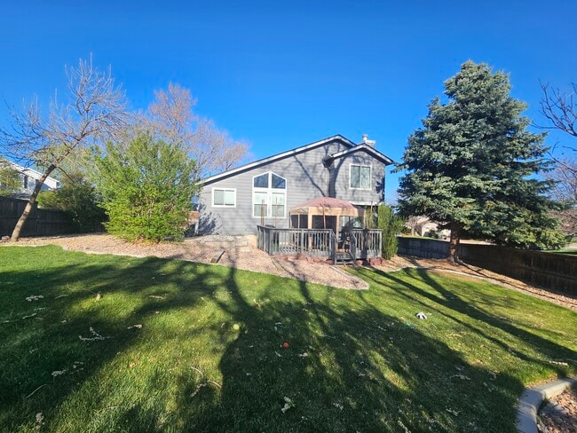 Backyard - 6265 Nassau Ct