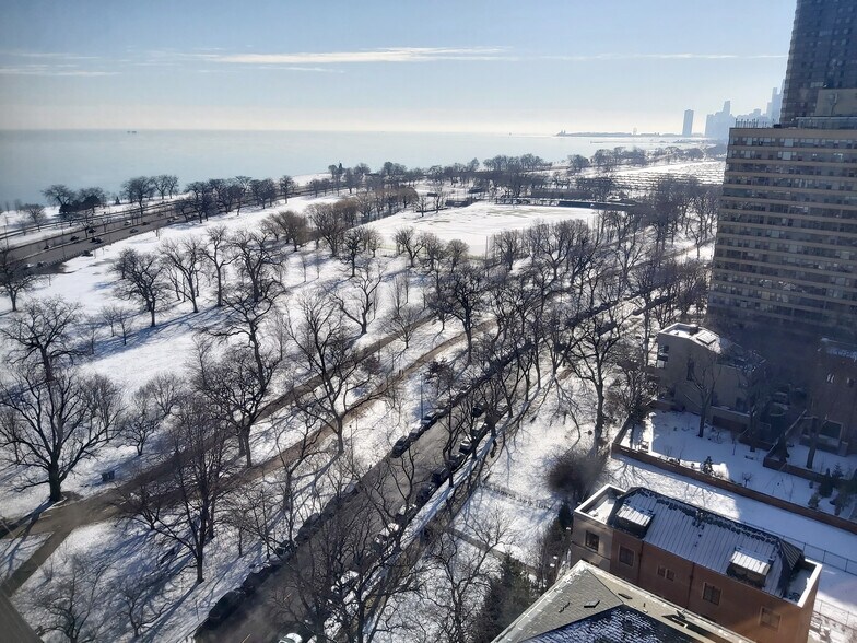 Chicago, Lincoln Park & Lake Michigan views - 3100 N Lake Shore Dr