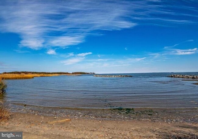 Building Photo - 1345 Ellicott Ave