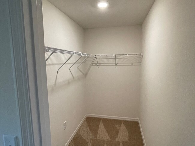 Building Photo - Like new 5/3/2 with screened in porch and much more...