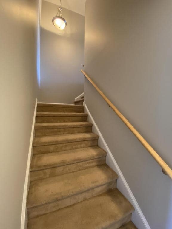 Building Photo - 5934 Lillytrotter Dr