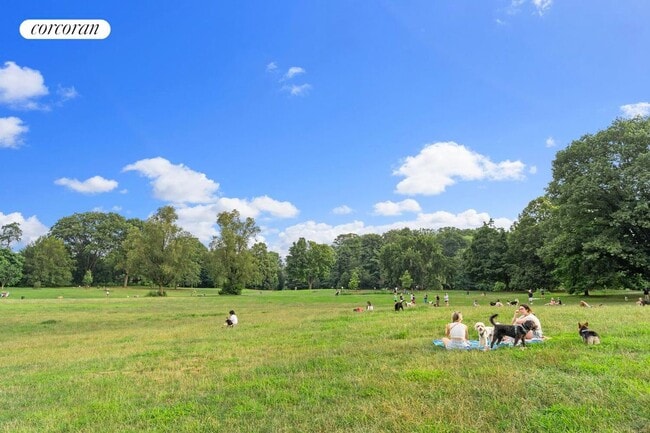 Building Photo - 33 Lincoln Rd