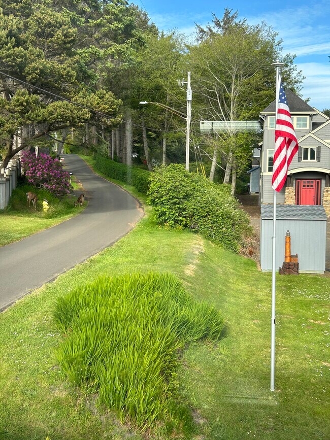 View from kitchen back door - 1554 NW 35th Pl