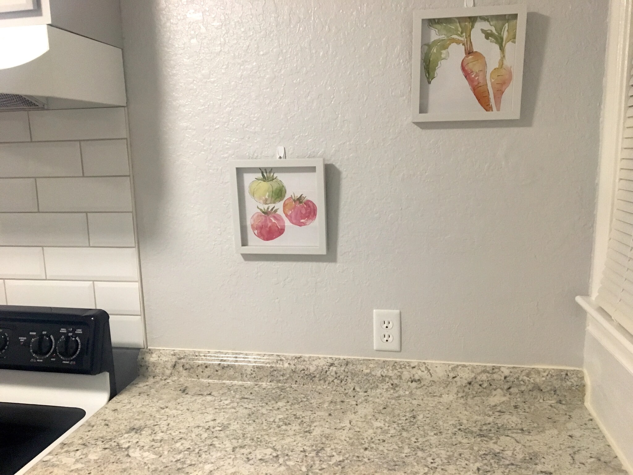 Plenty of counter space in kitchen for prepping food and/or small kitchen appliances. - 1439 N Olympia Ave