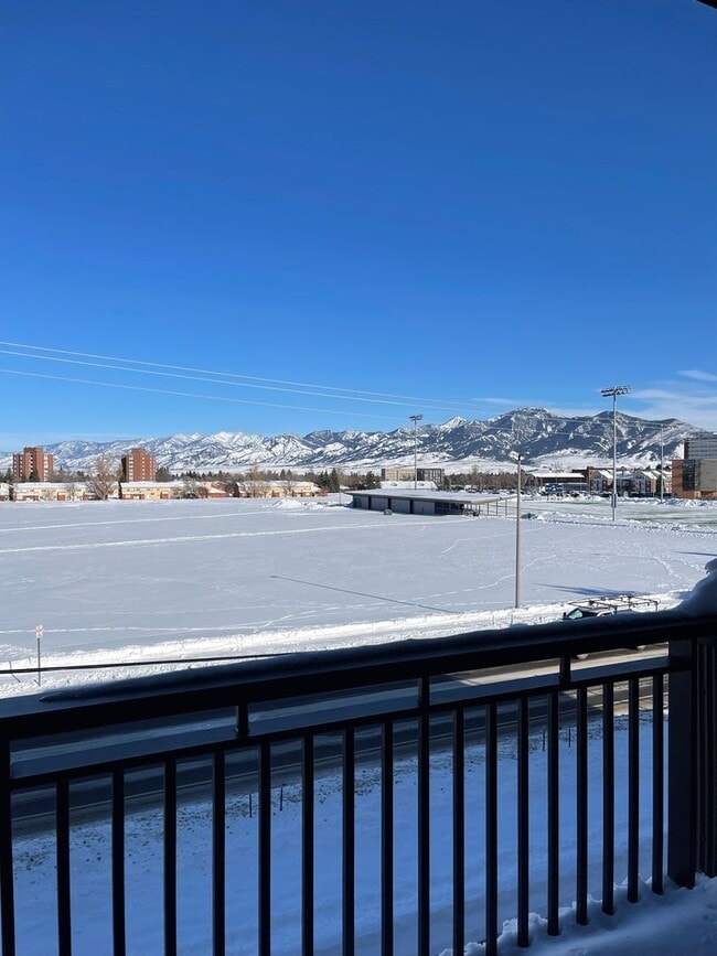 Building Photo - NEW! 2 Bedroom on campus! First Month Free!!
