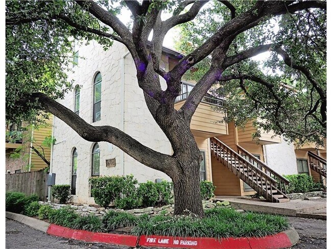 Primary Photo - West campus 1 bed condo just 2 blocks from UT