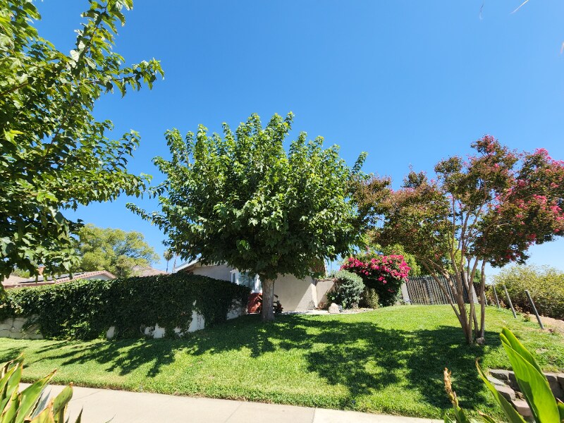 Building Photo - 6245 Arden Ave