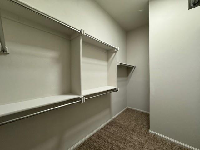 Building Photo - 2417 Northcreek Ln