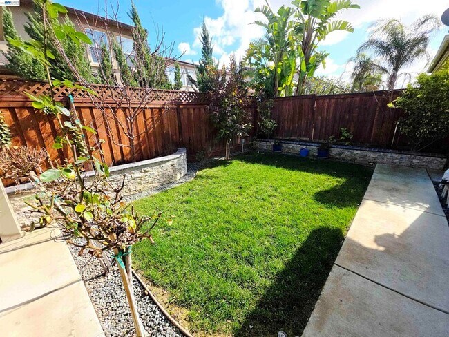 Building Photo - 2488 Remy Cantos Dr