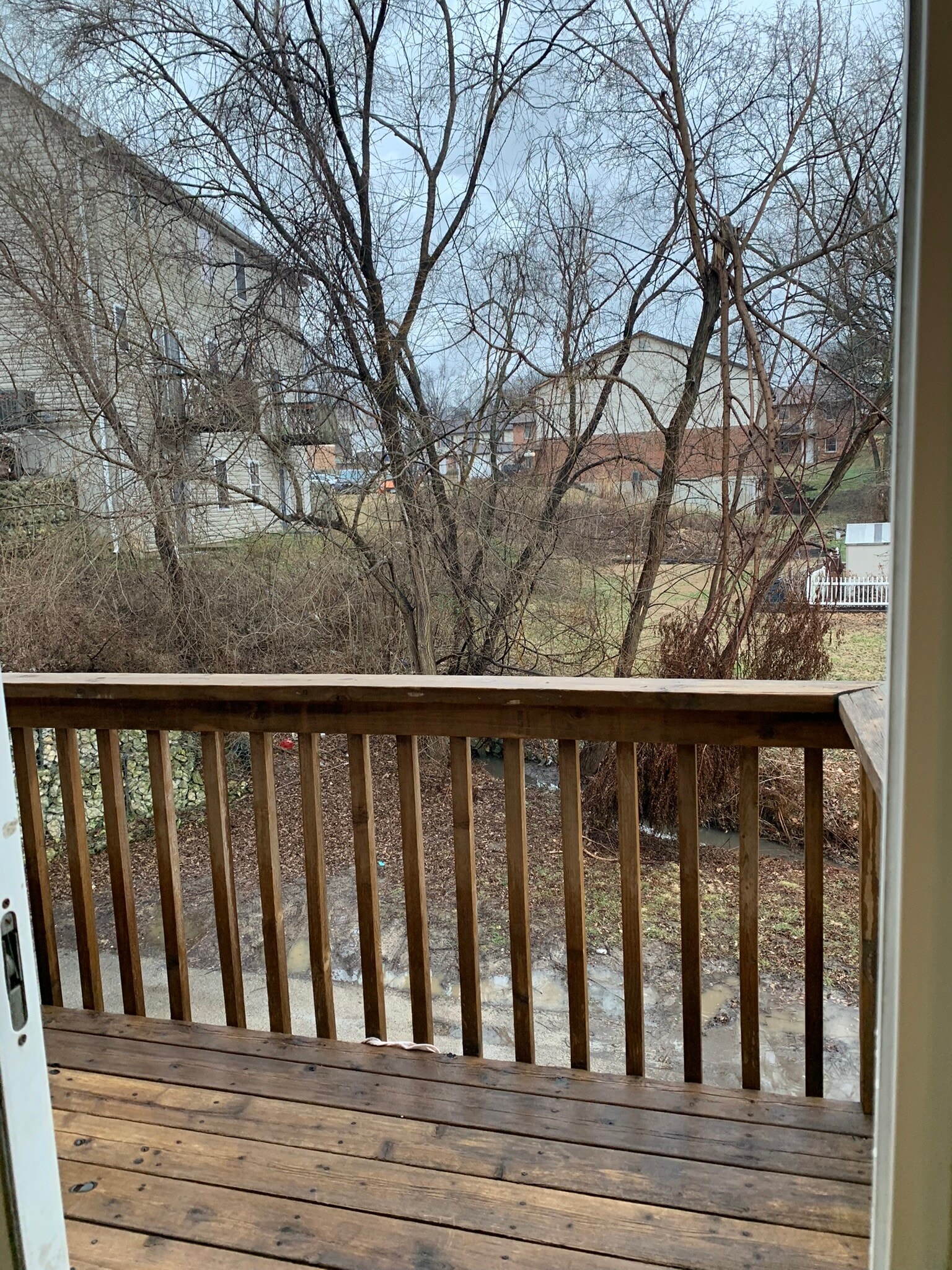 Building Photo - 403 Frank St