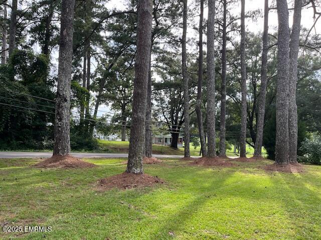 Building Photo - 3509 Causeyville Rd