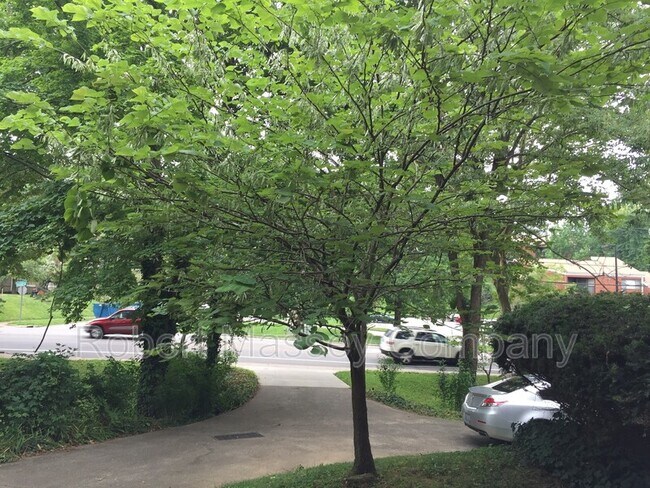 Building Photo - 2853 Grinstead Dr