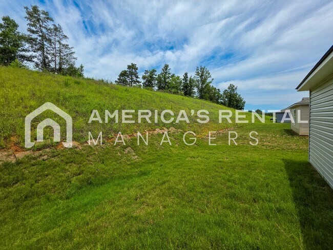 Building Photo - New Construction Home for Rent in Lincoln!