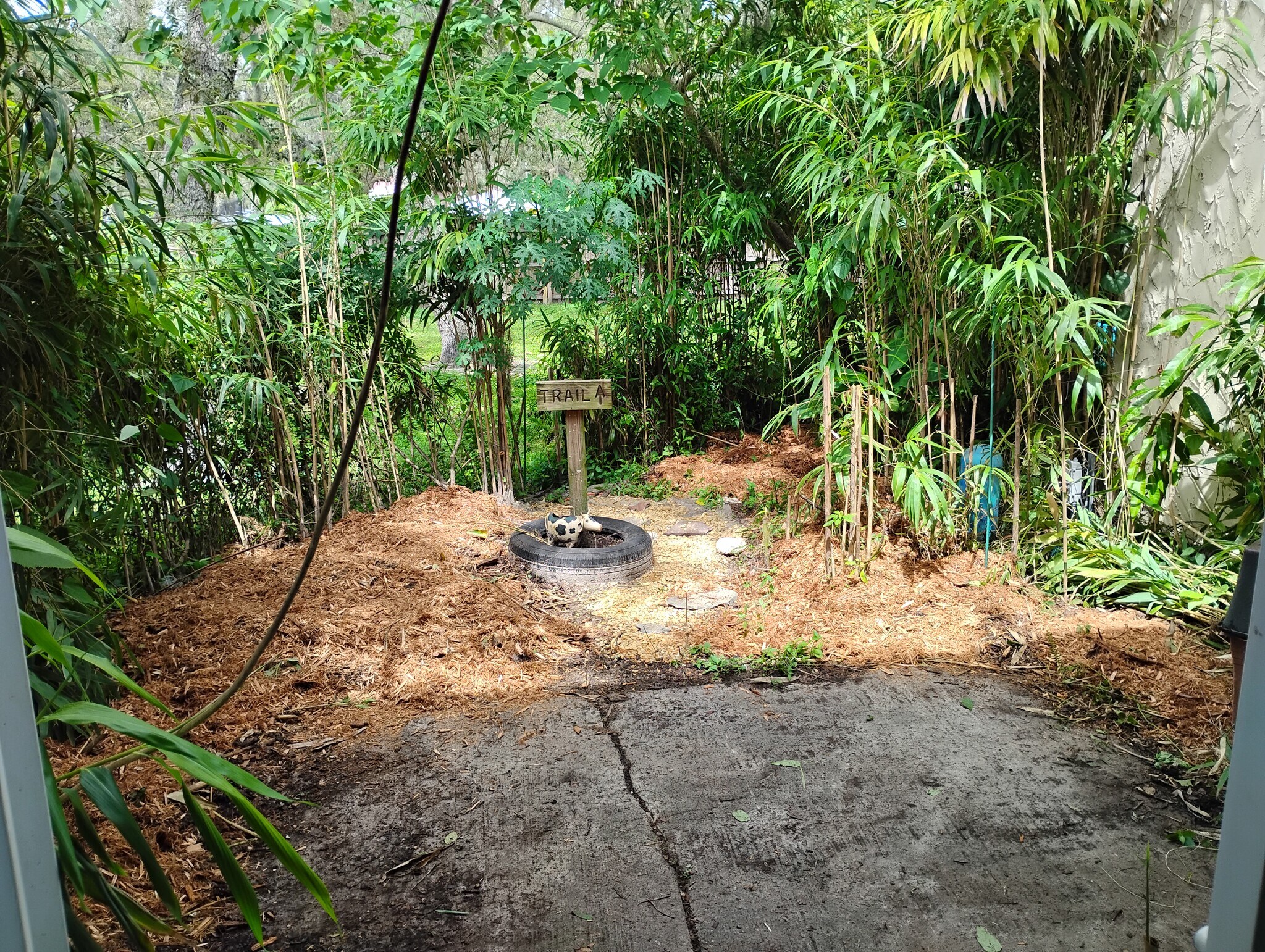 Building Photo - 12611 Touchton Dr