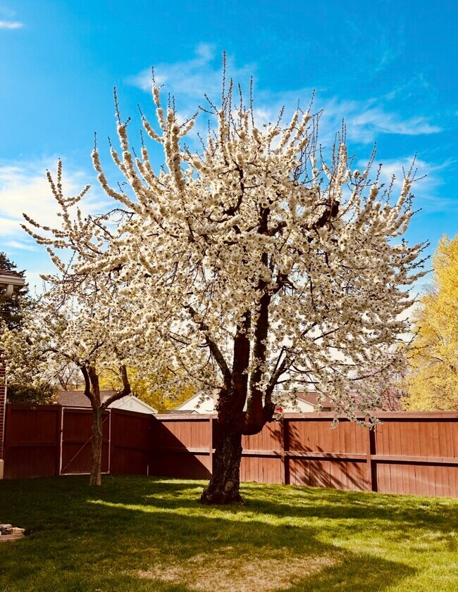 Building Photo - 2560 Fillmore Ave