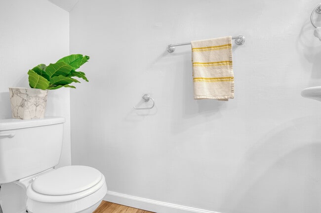 Building Photo - 4252 Comet Cir