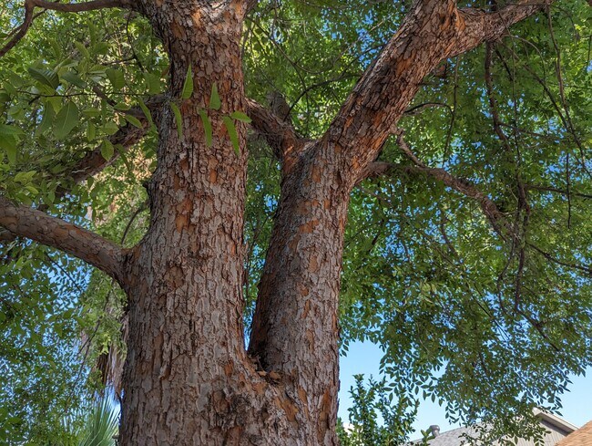 Building Photo - Cornell