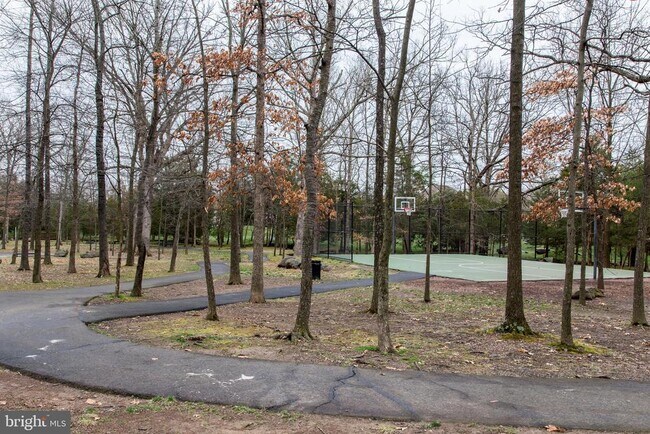 Building Photo - 23187 Hampton Oak Ter