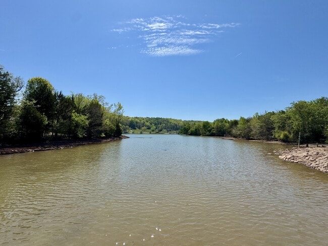 Building Photo - 169 Ashton Fields Dr