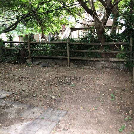 Rear yard 2 - 117 Sumac St