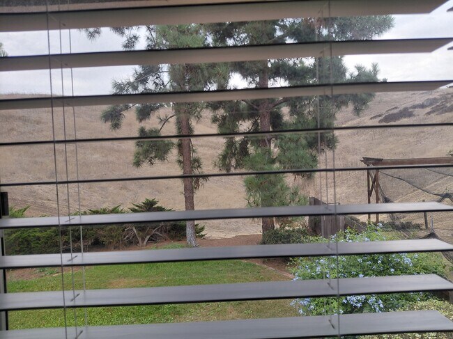 Building Photo - 5612 Galloping Way