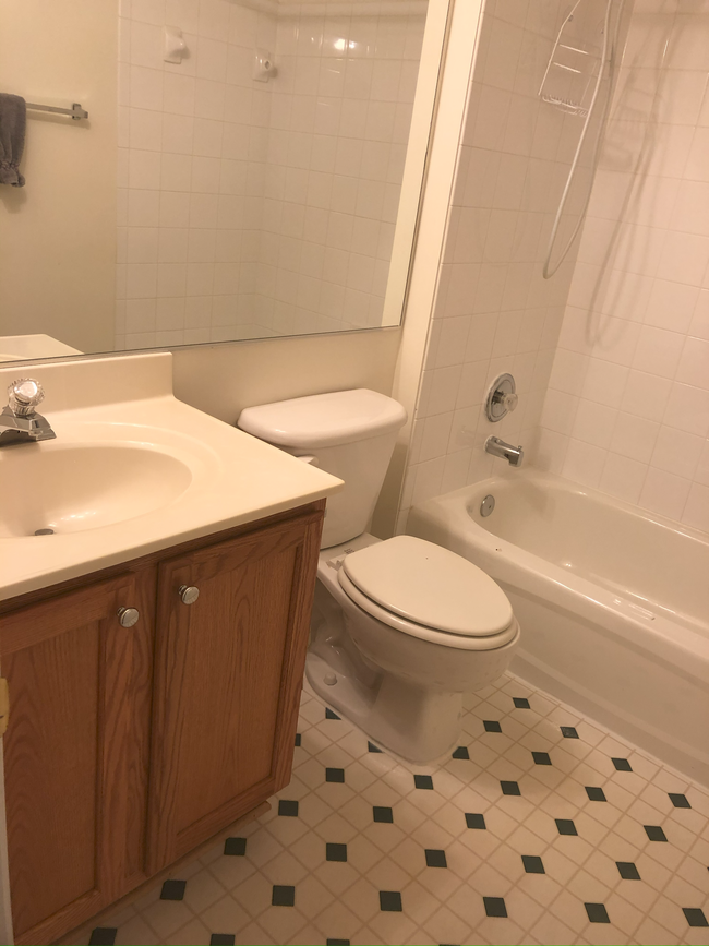 Basement Bathroom - 44315 Rowley Ter