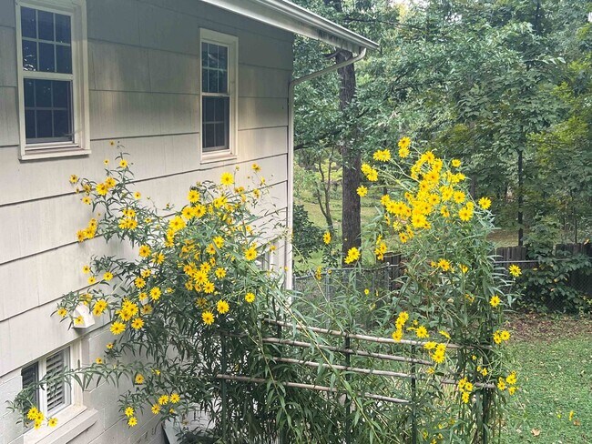 Building Photo - 5/3 updated Mid-Century Modern with original hardwoods