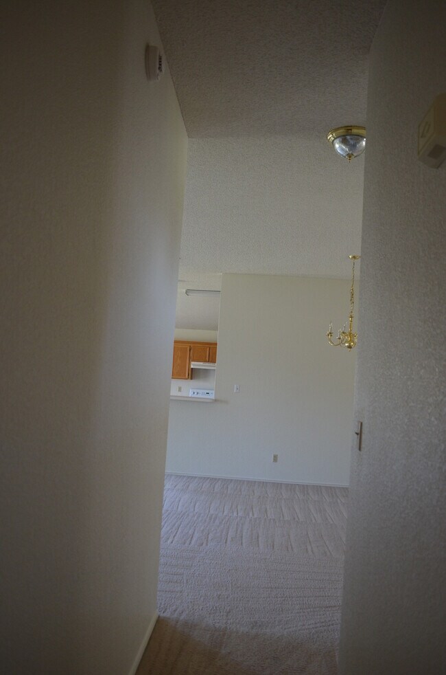 Building Photo - 2521 Creek Dr