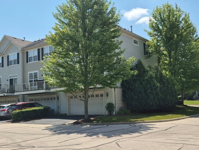 Building Photo - 219 Cassidy Ln