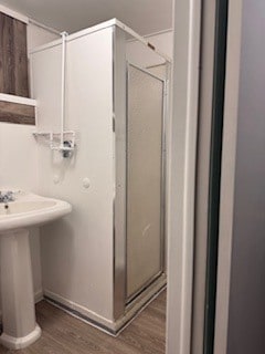 Downstairs bathroom - 694 McAllister Ave