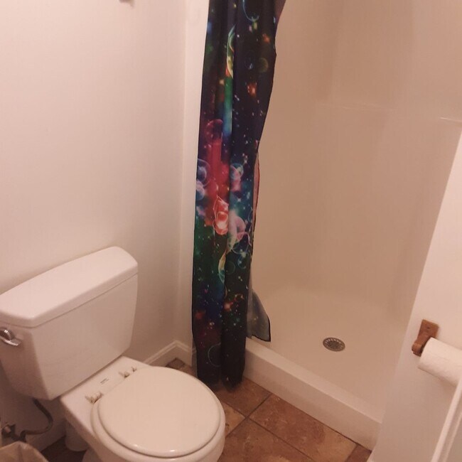 Building Photo - ALLSTON 4 BED/2 BATH FOR $1K/PERSON