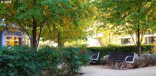 Building Photo - John Ross - 8th floor south waterfront studio w/parking/most utilities/concierge