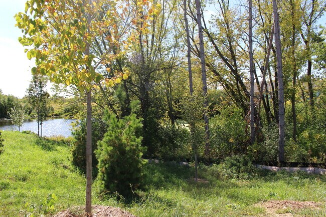 Pond View - 6524 Genevieve Trl