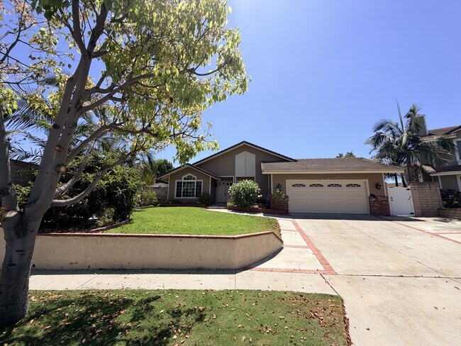 Building Photo - 6132 E Baja Dr
