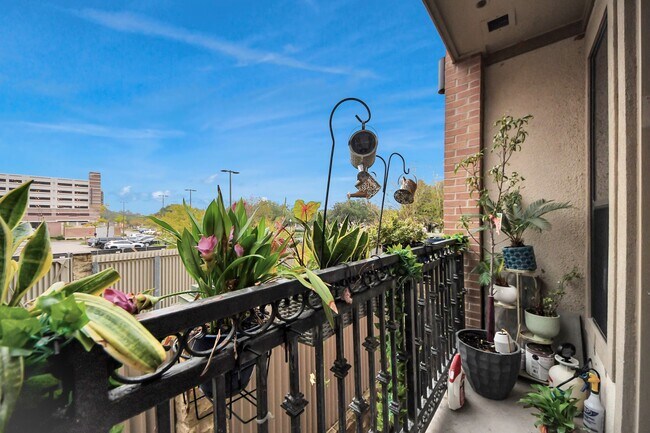 Building Photo - 2299 Lone Star Dr