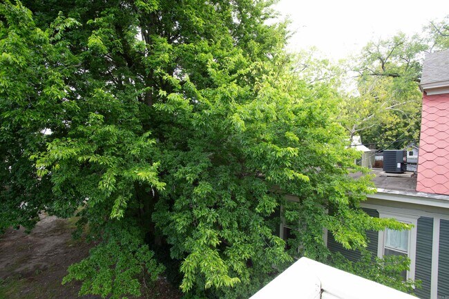 Building Photo - 1704 S Park St