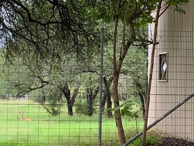 Building Photo - 2013 Mayfield Dr