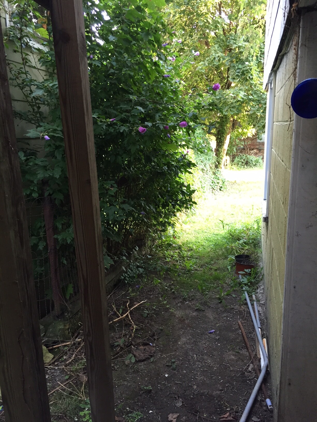 Building Photo - 914 w walnut st